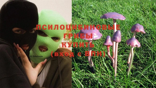 марки lsd Алексин