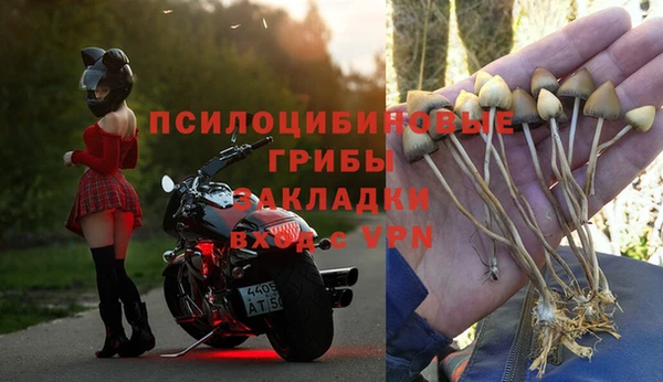 таблы Алзамай