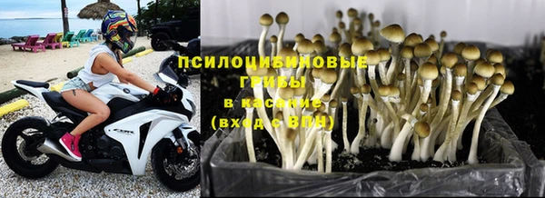 каннабис Алексеевка